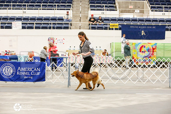 _JJ_0359-AblnMay2014-web