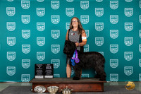 Briard #644 WedBFBISPBOW Judge Jennifer Landers