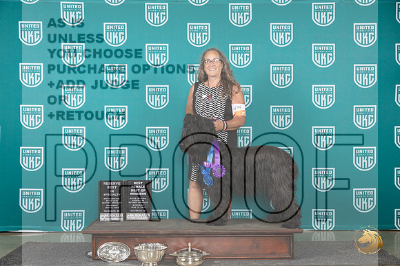 Briard #644 WedBFBISPBOW Judge Jennifer Landers__JP_0418_Premier_2024_HR3