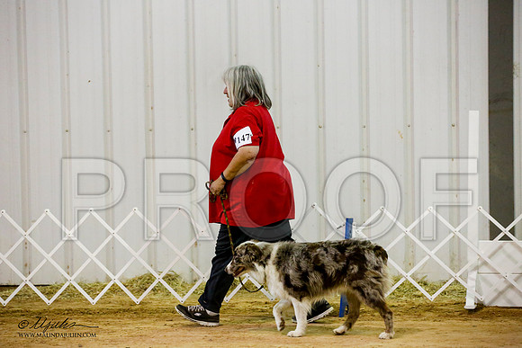 _JJ_0748-ASCACollegeStationNov2014-HR3