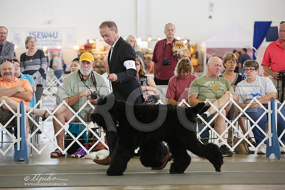 _JJ_1803-DallasJul2014-HR3