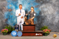 Havanese #17 Fri SDM Judge George Milutinovich
