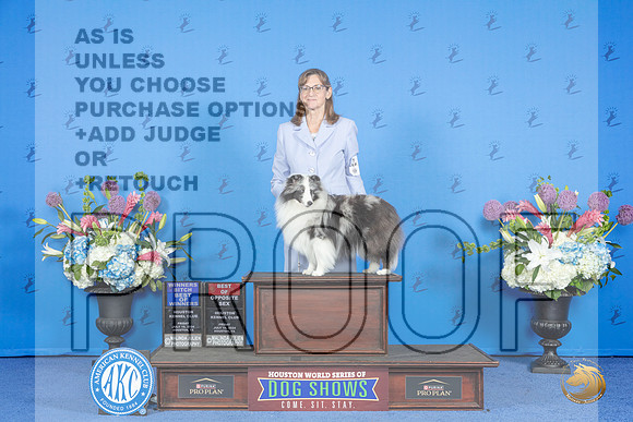 Shetland Sheepdog #8 FRI WB BOW Judge Jon Cole__JP_9286_Houston_2024_HR3