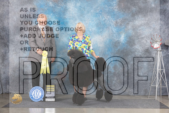 Poodle Std #9 Fri G3 Judge Gary Andersen__JP_5546_Amarillo_2024_HR3