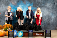 Scottish Terrier #5 Sun BOB Judge Lisa Graser