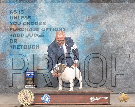 Bulldog #8 Fri G1 Judge Brad JenkinsMMJ_3722_Mdlnd2022_HR3