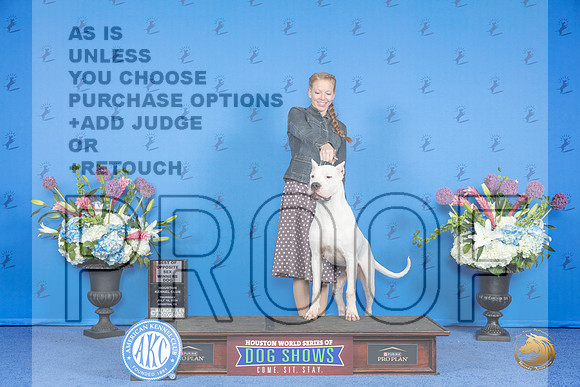 Dogo Argentino #7 THUR WD BOS Judge Nancy Liebes__JP_8496_Houston_2024_HR3