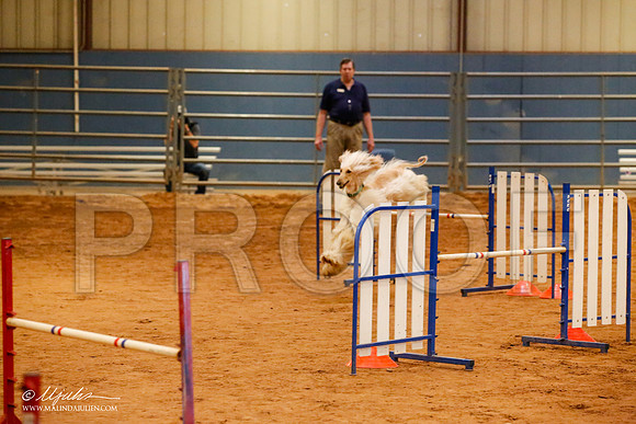 _JJ_5807-AfgBeltonOct2014-HR3