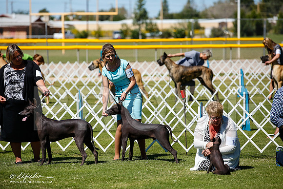 _JJ_8324-AlamogordoOct2014-HR3