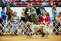 BIS OH Sat Ring