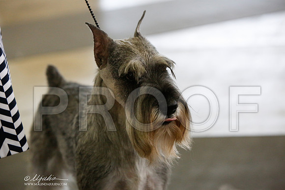 _JJ_1883-DallasJul2014-HR3