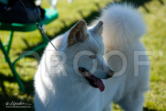 _JN_5236-AlamogordoOct2014-HR3