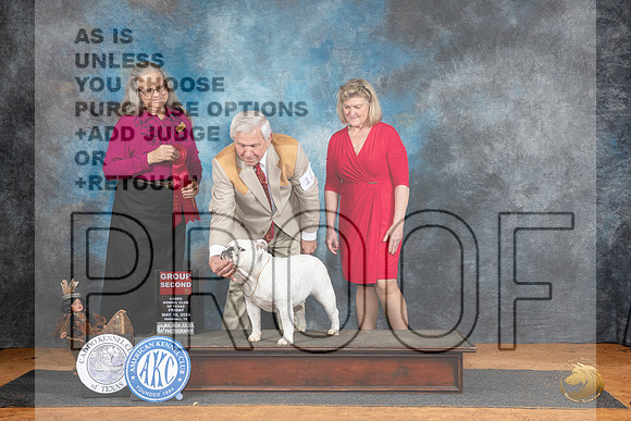 Bulldog #12 Fri G2 Judge Denise Dean__JP_7409_MARSHALL_2024_HR3