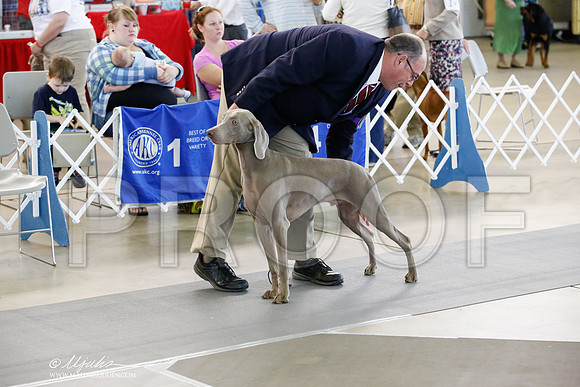 _JN_1198-DallasJul2014-HR3