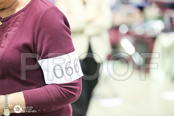 CCL_9998-MsqtApr14-HR3