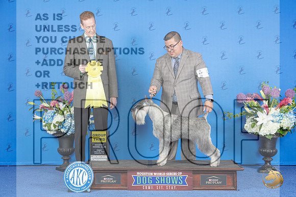 Schnauzer Standard #9 FRI G3 Judge Ronald Freeman__JP_9424_Houston_2024_HR3