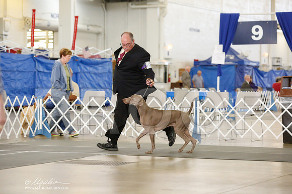 _RH_2779-DallasJul2014-HR3