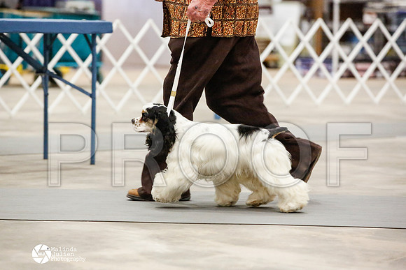_JN_0878-AblnMay2014-web