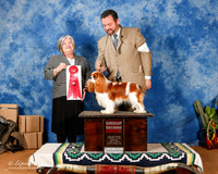 Cavalier King Charles Spaniel #15 Sun G2 email