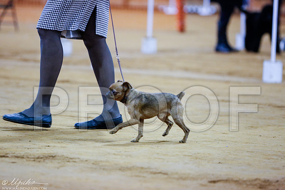 _RH_1190-MarshDec2014-HR
