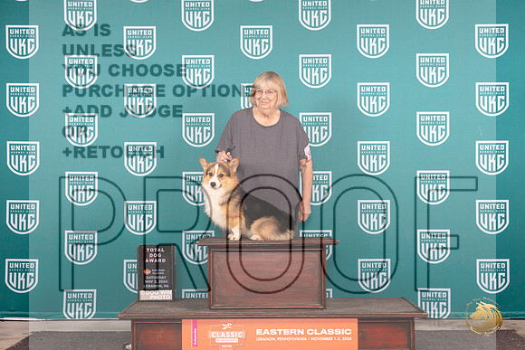 Pembroke Welsh Corgi #201 Fri RGCH TD Polly Jones__JP_2060_UKCEastern_2024_HR3