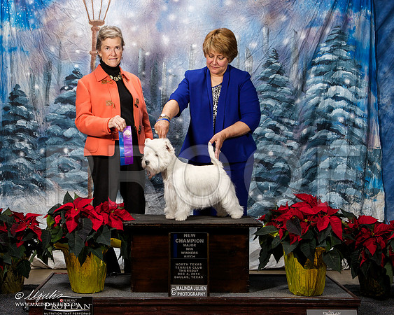 _ST_7990-DallasDec2014-HR3