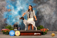 German Shorthaired Pointer #14 Thur OHG1 Judge David Bolus