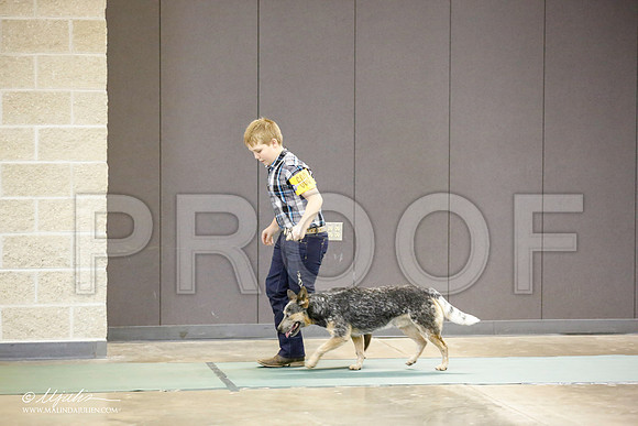 _JN_3237-BeltonJan2015-HR3
