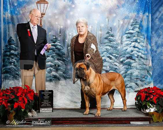 _ST_9062-2-DallasDec2014-HR3