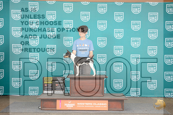 Rat Terrier #121 Fri G4 TD Judge Allan Krenek R__JP_1494_Longview WA_2024_HR3