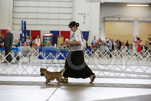 _JN_4802-DallasJul2014-HR3