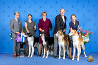Borzoi #19 #32 #30 #11 FRI family Judge Douglas Johnson