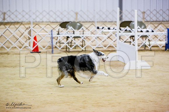 _JN_7063-ASCACollegeStationNov2014-HR3