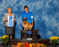 Pomeranian #17 Sun G1 Lyons Michele Charlotte Meyer Mona L Paredes Agent Lynn Meyer Judge Mrs Rita Holloway