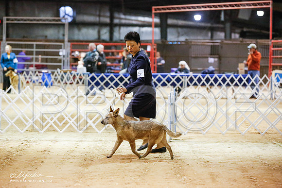 _JN_4397-2-GlenRoseJan2015-HR3