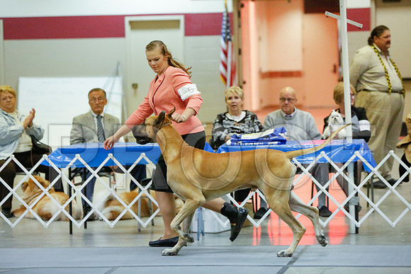 _JJ_5591-AmarilloSept2014-HR3