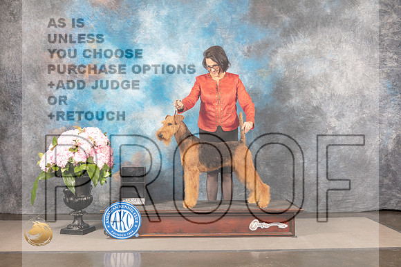 Airedale Terrier #? SUN CUSTOM_MJ_7980_Houston_2022_HR3