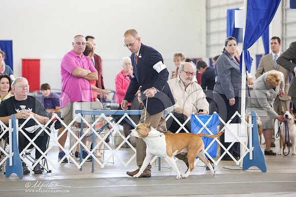 _JJ_1006-DallasJul2014-HR3