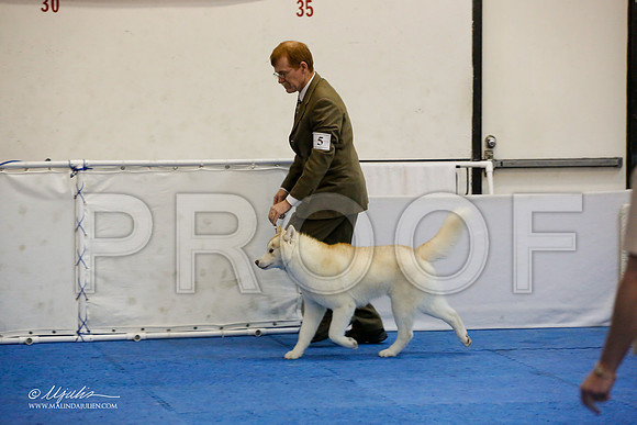 _M3_9760-AddisonHuskyMar2015-HR3