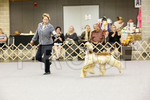 _JJ_0003-AfgBeltonOct2014-HR3