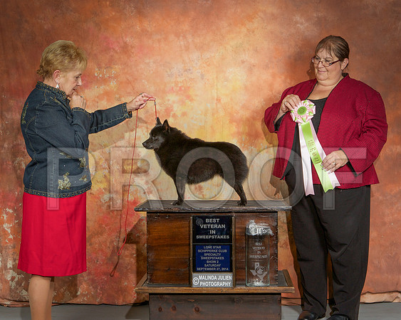 _ST_2495-CarlrolltonSept2014-HR3