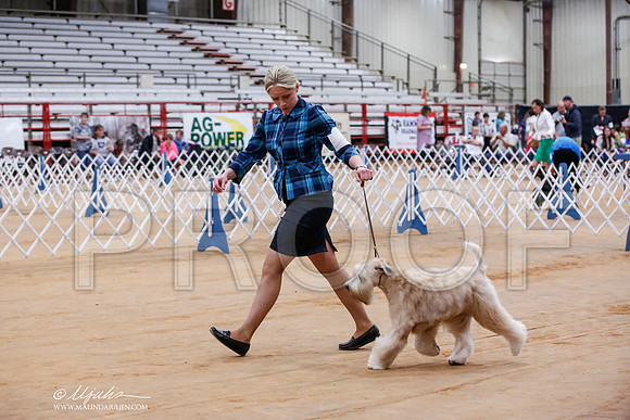 _JJ_8227-TxArJun2014-HR3