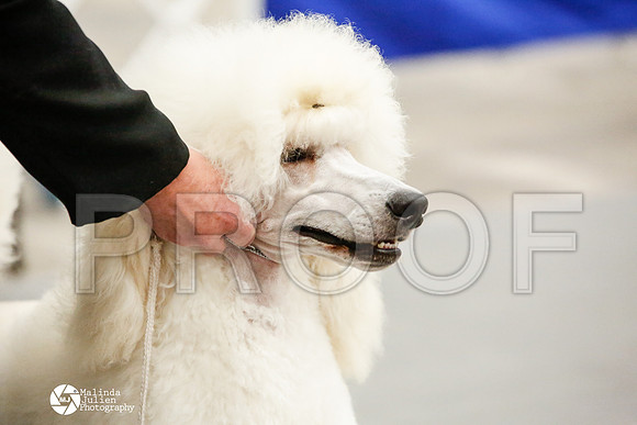 _JJ_0425-AblnMay2014-web