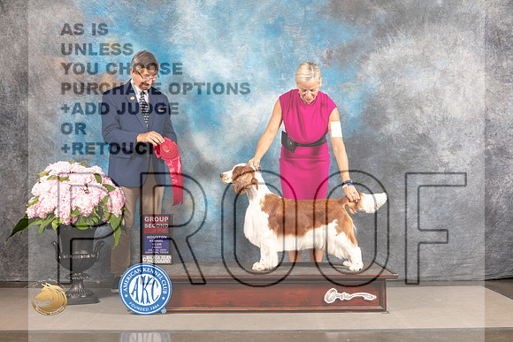Welsh Springer Spaniel #6 FRI G2 Judge Richard Powell_MJ_6015_Houston_2022_HR3