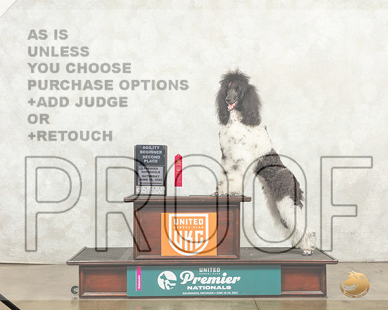 Poodle Std MC #1144 __MJ_9158_Premier_2022_HR3