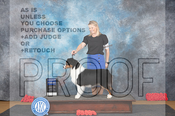 Australian Shepherd #10 Sat G1 Judge Pat Trotter__JP_0140_Sulphur Springs_2024_HR3