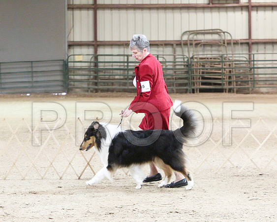 RDogs-0120