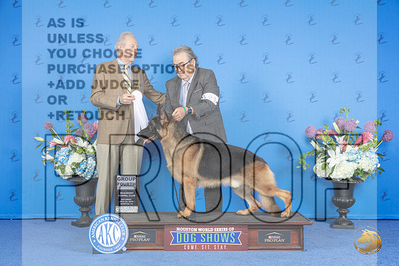 German Shepherd Dog #21 SAT G4 Judge James Moses__JP_0043_Houston_2024_HR3