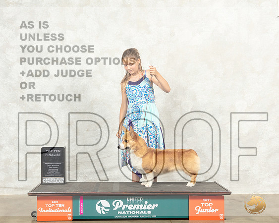 Pembroke Welsh Corgi #821 Thur Top10JrF Judge Ron Sacca__MJ_7439_Premier_2022_HR3