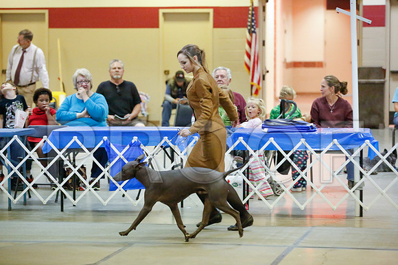 _JJ_0055-AmarilloSept2014-HR3